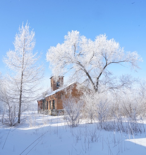 《雪落飞花度晨昏》曹凤兰