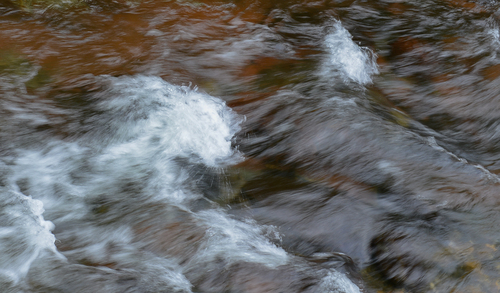 《猛虎哺羊》高彦文