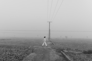 《迷雾中的行者》何兴